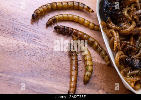 Vers de bois frits et vers de viande sur une planche à découper en bois. Insectes frits comme source de protéines dans le régime. Banque D'Images