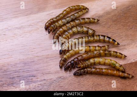 Vers de bois frits et vers de viande sur une planche à découper en bois. Insectes frits comme source de protéines dans le régime. Banque D'Images