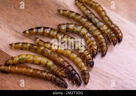 Vers de bois frits et vers de viande sur une planche à découper en bois. Insectes frits comme source de protéines dans le régime. Banque D'Images