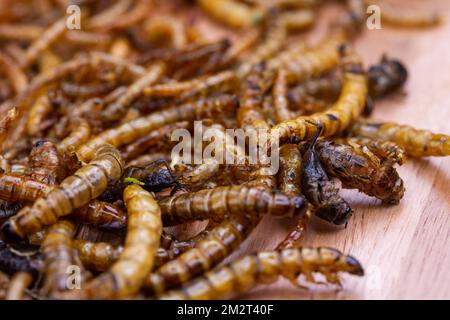 Vers de bois frits et vers de viande sur une planche à découper en bois. Insectes frits comme source de protéines dans le régime. Banque D'Images