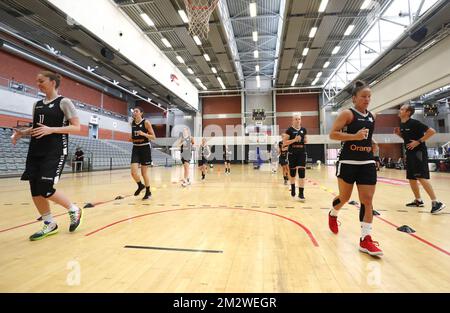 Cats belges Marjorie Carpreaux photographiée lors d'une journée de presse de l'équipe nationale belge de basketball féminin 'les Cats Belges' avant les championnats européens Eurobasket 2019, mercredi 12 juin 2019, à Kortrijk. BELGA PHOTO VIRGINIE LEFOUR Banque D'Images