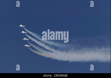 L'équipe d'exposition USAF Thunderbird lors des courses de Reno Air 2008 45th à l'aéroport de Stead Reno Nevada USA Banque D'Images