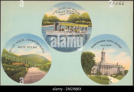 Alimentation des poissons à partir d'un bateau à fond de verre à Silver Springs, Ocala, Floride. Willey House, Crawford Notch, White MTS., N.H. Pennsylvania State College 'Old main', State College, Pennsylvanie. , Bateaux, lacs et étangs, Maisons, universités et collèges, Bâtiments historiques, Tichnor Brothers Collection, cartes postales des États-Unis Banque D'Images