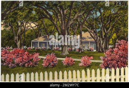 Fernando Gautier Homestead, l'antiquité à son meilleur, sur les rives ouest de la rivière de chant Pascagoula, Hwy. 90, Gautier, divers , Maisons, Collection des frères Tichnor, cartes postales des États-Unis Banque D'Images