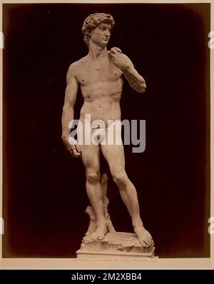 Florence - Accademia di Belle Arti - il David di Michelangiolo , Sculpture, Michel-Ange Buonarroti, 1475-1564. David. Collection Nicholas Catsimpolas Banque D'Images