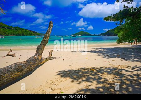 Parc national marin de la Baie-Ternay, île Mahé, Seychelles Banque D'Images