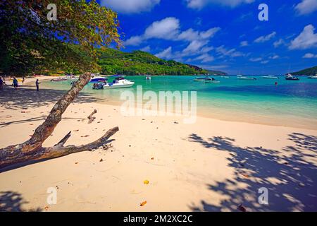 Parc national marin de la Baie-Ternay, île Mahé, Seychelles Banque D'Images