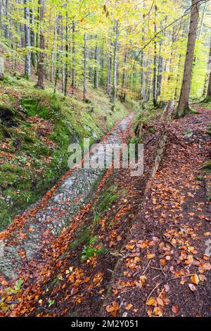 Route celtique, route romaine, Rottweg, route historique près de Klais, Werdenfelser Land, haute-Bavière, Bavière, Allemagne Banque D'Images