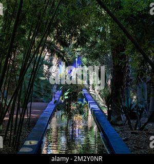 Le canal bleu avec des plantes aquatiques traverse une bosquet de bambou, le jardin botanique Majorelle, ancien propriétaire Yves Saint-Laurent, Marrakech, Maroc Banque D'Images