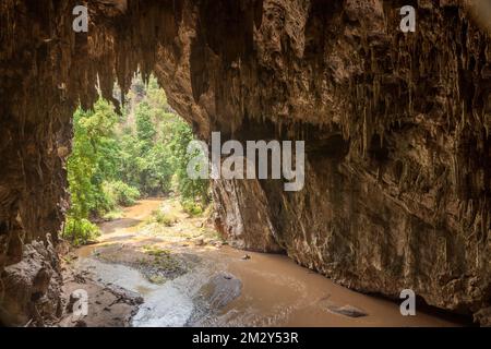 Énorme entrée de grotte avec rivière qui coule à l'intérieur. Grotte de Tham Lot (Lod) près de Soppong, Mae Hong son, Thaïlande du Nord. Belle grotte remplie de STA Banque D'Images