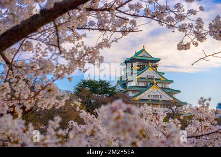Osaka, Japon au château d'Osaka pendant la saison de printemps dans l'après-midi. Banque D'Images