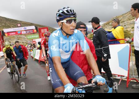 Colombien Nairo Quintana de Movistar Team photographié après la phase 20 de l'édition 2019 de la 'Vuelta a Espana', Tour d'Espagne course cycliste, d'Arenas de San Pedro à Plataforma de Gredos (190,4 km), samedi 14 septembre 2019. BELGA PHOTO YUZURU SUNADA - FRANCE SORTIE Banque D'Images