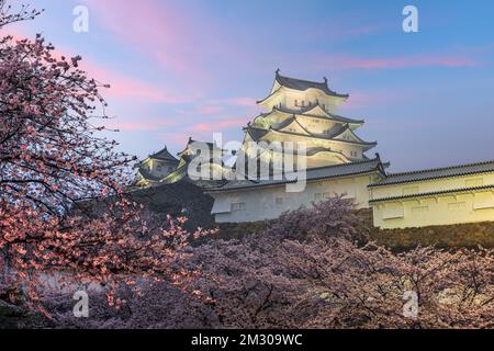 Himeji, Japon à Himeji Castle pendant la saison des cerisiers en fleur au printemps. Banque D'Images