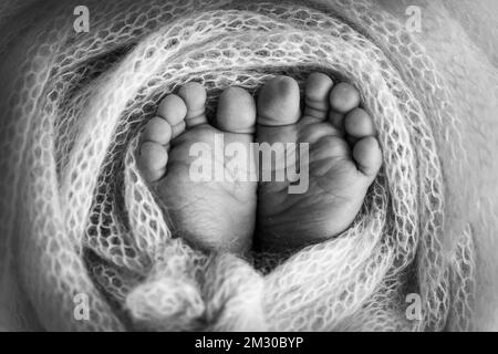 Le pied minuscule d'un nouveau-né.Pieds doux d'un nouveau-né dans une couverture en laine. Banque D'Images