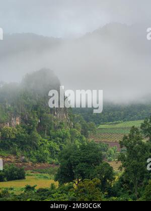 Magnifique paysage rural brumeux le matin dans la vallée de montagne près de Chiang Dao, Chiang Mai, Thaïlande Banque D'Images