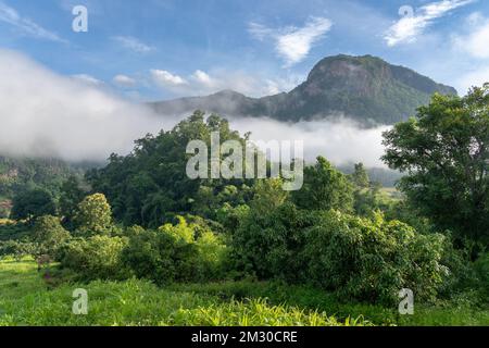 Paysage rural tôt le matin avec arbres et montagne karstique, Chiang Dao, Chiang Mai, Thaïlande Banque D'Images