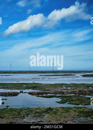 Les mauvaises herbes marines ont été parsemées de rochers devant un parc éolien proche de la rive dans le nord-est de l'Angleterre, sous un ciel bleu profond et partiellement couvert de nuages. Banque D'Images