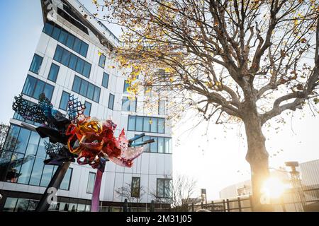 L'illustration montre la sculpture « le beau rêveur » de l'artiste belge Arne Quinze, à l'Expo Paris porte de Versailles, le mercredi 20 novembre 2019. BELGA PHOTO THOMAS PADILLA Banque D'Images