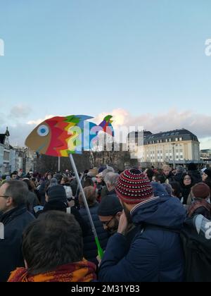 L'illustration montre une démonstration du mouvement de gauche, le samedi 14 décembre 2019 à Bruxelles. Le mouvement sardine a été lancé en Italie pour protester contre le parti anti-immigration de la Ligue dirigé par Salvini. BELGA PHOTO ANTONY GEVAERT Banque D'Images