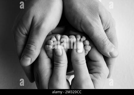 Les paumes des parents maintiennent les pieds du nouveau-né. Banque D'Images