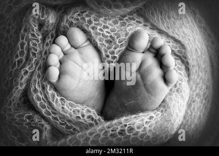 Le pied minuscule d'un nouveau-né.Pieds doux d'un nouveau-né dans une couverture en laine. Banque D'Images