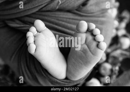 Le pied minuscule d'un nouveau-né.Pieds doux d'un nouveau-né dans une couverture en laine. Banque D'Images