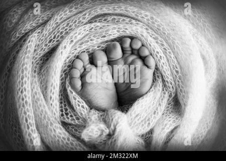 Le pied minuscule d'un nouveau-né.Pieds doux d'un nouveau-né dans une couverture en laine. Banque D'Images