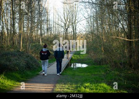 L'illustration montre les gens qui profitent du soleil de l'après-midi, et en respectant les règles de la distanciation sociale, au Parkbos à Gand, dimanche 22 mars 2020. De 18 mars, de nouvelles mesures sont prises pour éviter la propagation du Covid-19. Jusqu'à présent, 3401 personnes sont infectées en Belgique. BELGA PHOTO JAMES ARTHUR GEKIERE Banque D'Images