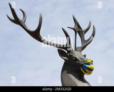 Illustration la photo montre une grande statue d'un cerf, portant un masque buccal, dans le centre-ville, avant une visite du chantier de construction d'Infrabel, entre Saint-Hubert et Tellin, mardi 11 août 2020. Neuf massifs rocheux doivent être traités en profondeur pour garantir leur stabilité. La rénovation de sept ponts et l'enlèvement d'un passage à niveau sont également prévus. Le trafic sur la ligne sera coupé du 12 au 17 août. BELGA PHOTO BENOIT DOPPAGNE Banque D'Images