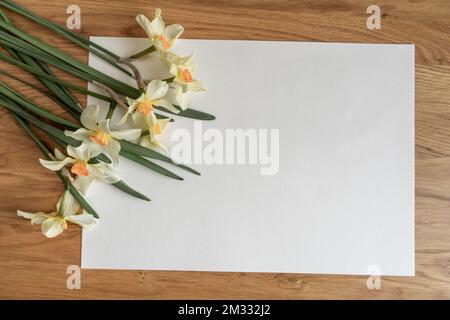 Bouquet de narcisse jaune ou de jonquille sur fond blanc. Plan à plat, espace de copie pour le texte Banque D'Images