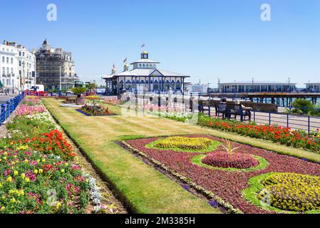 Eastbourne East Sussex les jardins fleuris de tapis sur la promenade du front de mer et Eastbourne Pier Eastbourne East Sussex Angleterre GB Royaume-Uni Europe Banque D'Images