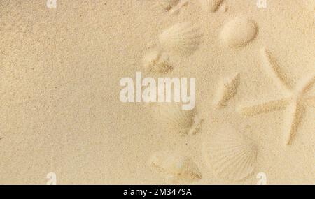 Arrière-plan avec coquillages sur le sable. Mise au point sélective. Spa. Banque D'Images