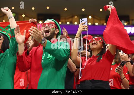Al Khor, Qatar. 14th Dec, 2022. Morocco fans support their team during the 2022 FIFA World Cup Semi-Final match at Al Bayt Stadium in Al Khor, Qatar on December 14, 2022. Photo by Chris Brunskill/UPI Credit: UPI/Alamy Live News Banque D'Images