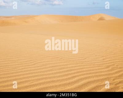 Dunes de Maspalomas - zone de paysage protégée de l'île des Canaries Banque D'Images