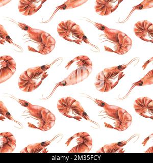 Crevettes cuites non pelées différentes. Illustration aquarelle. Motif sans couture sur fond blanc de la collection DE CREVETTES. Pour la conception et Banque D'Images