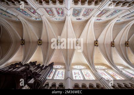 Cathédrale de Chartres, monument en France, architecture gothique - vue intérieure de la voûte Banque D'Images