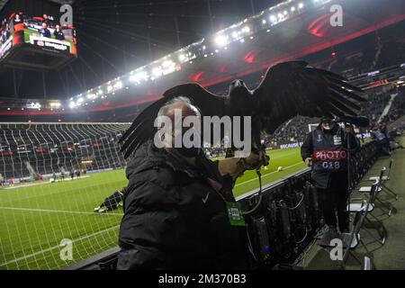 L'illustration montre l'aigle 'Attila', la mascotte d'Eintracht Frankfurt avant un match de football entre l'allemand Eintracht Frankfurt et le FC belge Royal Anvers, jeudi 25 novembre 2021 à Francfort, Allemagne, cinquième partie (sur six) dans le groupe D de la scène du groupe de l'UEFA Europa League. BELGA PHOTO LAURIE DIEFFEMBACQ Banque D'Images