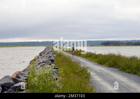 Le sentier Salt Marsh, un projet de chemin de fer à piste à Cole Harbour, Nouvelle-Écosse, Canada. La piste cyclable populaire fait partie du sentier transcanadien. Banque D'Images