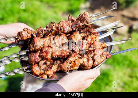 plateau avec barbecue sur des brochettes de fer dans les mains d'un homme dans la rue. Délicieux déjeuner pique-nique. Banque D'Images