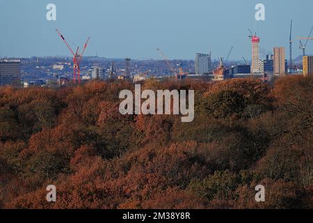 Vue sur Leeds City Skyline le jour de l'automne, prise de Temple Newsam dans West Yorkshire, Royaume-Uni Banque D'Images