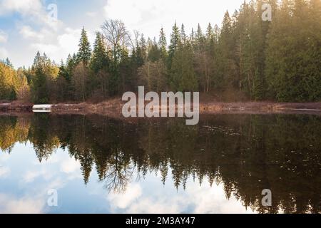 Matin d'automne dans la forêt avec lac, réflexion de forêt et brouillard sur la surface de l'eau. Les paysages tranquilles avec la forêt d'automne se reflètent dans la manne Banque D'Images