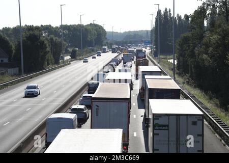 L'illustration montre l'encombrement de la circulation avec beaucoup de camions et de voitures après un accident avec un camion à la sortie de Drongen de l'autoroute E40, à Drongen, vendredi 02 septembre 2022. La route est bloquée en direction de la Côte et les services s'attendent à ce que le dégagement de la route puisse prendre beaucoup de temps. BELGA PHOTO NICOLAS MATERLINCK Banque D'Images