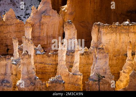 gros plan téléobjectif des hoodoos du parc national de bryce canyon illuminés par le soleil éclairant les rouges, les oranges, les roses et les blancs. Banque D'Images