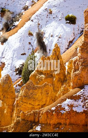 gros plan téléobjectif des hoodoos du parc national de bryce canyon illuminés par le soleil éclairant les rouges, les oranges, les roses et les blancs. Banque D'Images