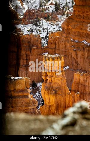 gros plan téléobjectif des hoodoos du parc national de bryce canyon illuminés par le soleil illuminant les rouges, les oranges et les roses. Banque D'Images