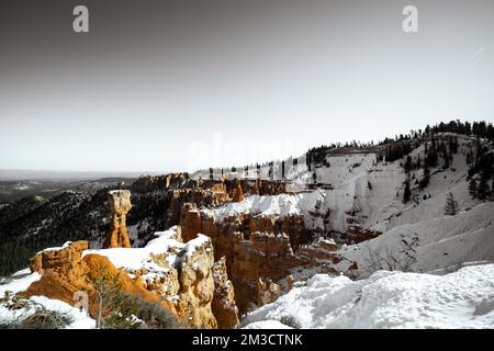 Photo monochrome aux beaux-arts du parc national de bryce Canyon pendant la journée en hiver avec de la neige au sol Banque D'Images