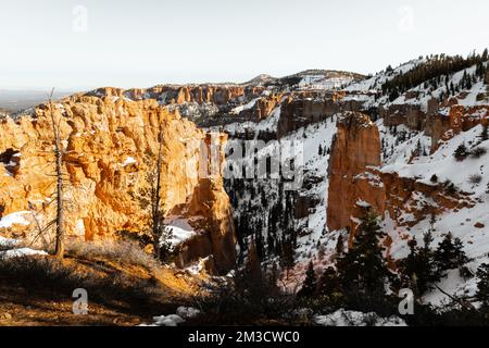 Photo monochrome aux beaux-arts du parc national de bryce Canyon pendant la journée en hiver avec de la neige au sol Banque D'Images