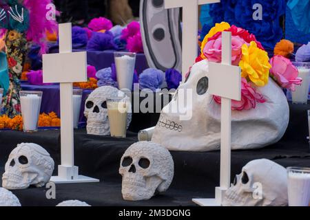 jour de l'autel mort, cempasuchil sur tout le sol en fond violet Banque D'Images