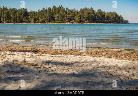 Belle île avec du sable et des arbres à l'océan. Plage sable et vagues de l'océan eau de mer mousse texture fond. La vague de la mer roule sur le rivage. TRAV Banque D'Images