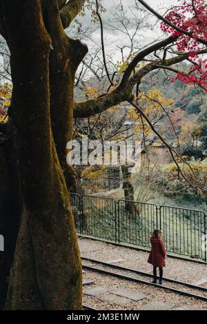 Kyoto, Japon - 26 novembre 2022 : chemin de fer de Keage Incline avec érable d'automne Banque D'Images